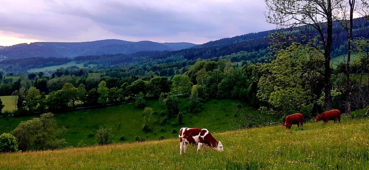Apartman Hygge Bratrouchov Jablonec nad Jizerou Exteriör bild