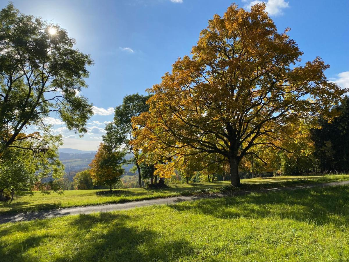 Apartman Hygge Bratrouchov Jablonec nad Jizerou Exteriör bild